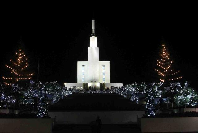 Christmas lights at Hamilton's Mormon Temple